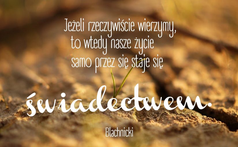 Świadectwa