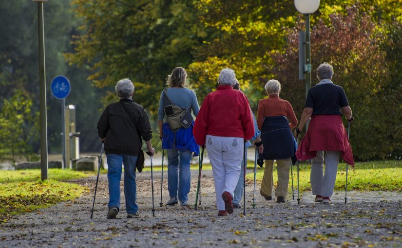 Nordic walking z Grzegorzem | Park Południowy